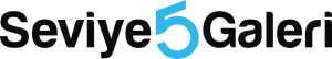 seviye 5 Galeri logo