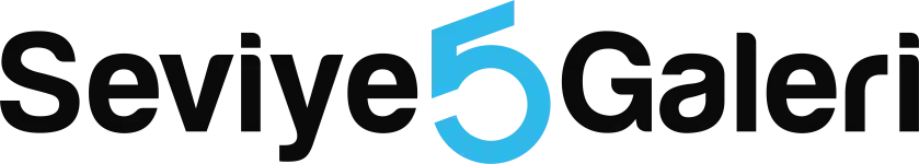 seviye 5 Galeri logo